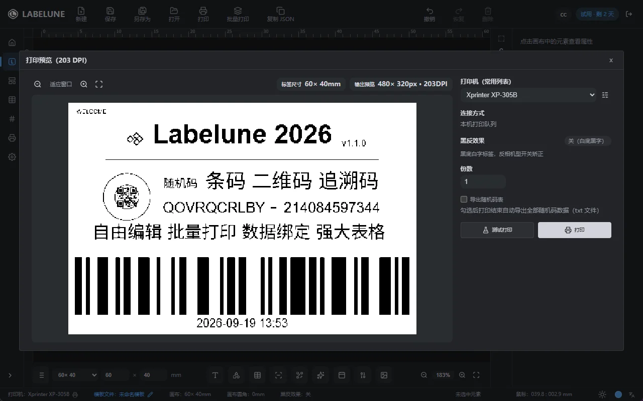 打印预览:203 DPI 点阵预览与打印参数